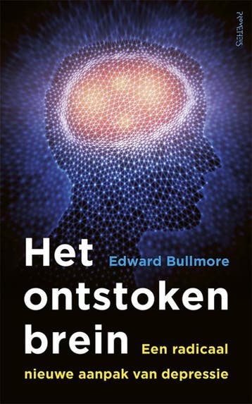 Het ontstoken brein 9789044638851 Edward Bullmore, Verzenden, Zo goed als nieuw, Edward Bullmore