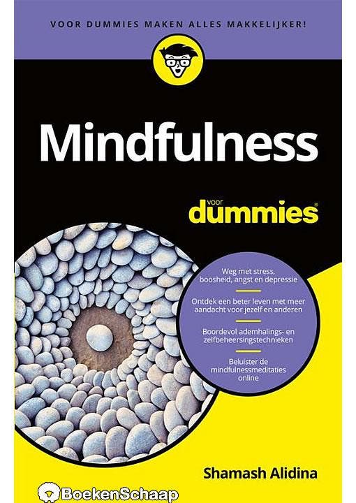 Mindfulness voor dummies, Boeken, Psychologie, Gelezen, Verzenden