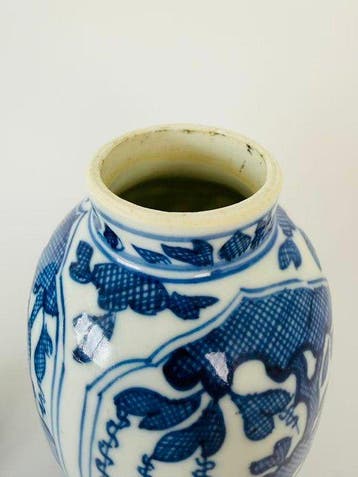 Paar Kangxi-periode Blauw-witte Druiven & Bloemen