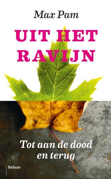 Uit het ravijn 9789460036422 Max Pam, Verzenden, Max Pam
