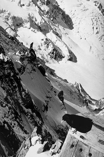 Thomas Consani (1974) - Chamonix, Antiek en Kunst