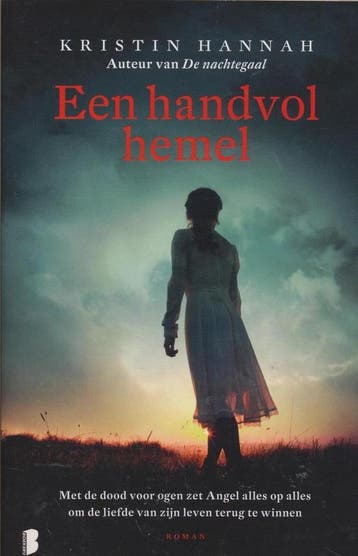 Een handvol hemel 9789022579114 Kristin Hannah, Verzenden, Kristin Hannah