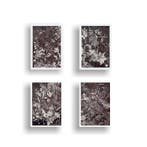 N. Magro - Collectables: “ Four Dark Natures ”