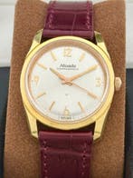 Nivada - Zonder minimumprijs - Compensamatic 17 - Heren -