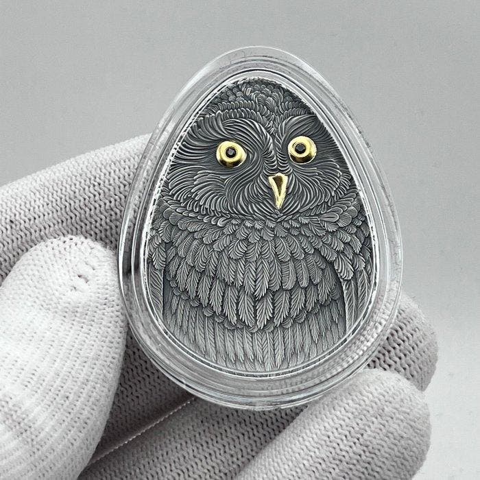 Niue. 2 Dollars 2024 – Marvelous Owls: Short-eared Owl – 1, Timbres & Monnaies, Monnaies | Europe | Monnaies non-euro