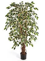 Kunstplant Ficus Liana Mixed 180 cm, Verzenden