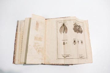 Tannoja - Delle Api - 1818, Antiek en Kunst, Antiek | Boeken en Manuscripten