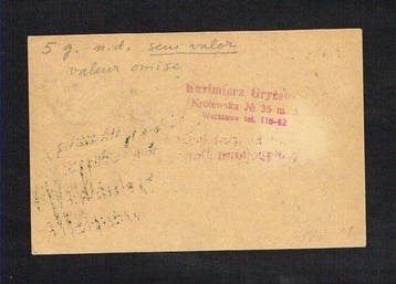 Polen 1925 - Nr. 295 op ansichtkaart verzonden vanuit, Gestempeld