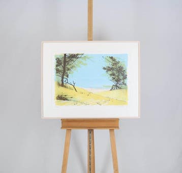 Ronald Tolman (1948) - Duinen