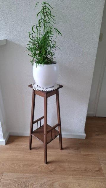Table dappoint - carte des plantes - Bois
