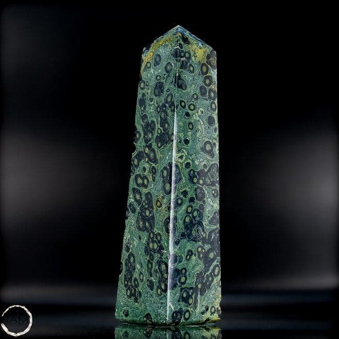Natuurlijke Kambaba-Obelisk – Diepe verbondenheid met de, Collections, Minéraux & Fossiles