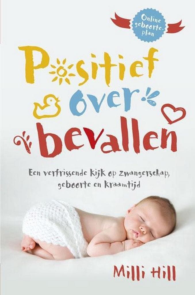 Positief over bevallen 9789491411854 Milli Hill, Boeken, Zwangerschap en Opvoeding, Gelezen, Verzenden