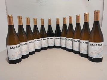 Vinigalicia, Balamo - Rias Baixas CVC - 12 Flessen (0.75, Nieuw