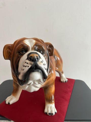 Beeld, Bulldog - 42 cm - Keramiek