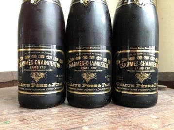 2014 Domaine Camus - Charmes-Chambertin Grand Cru - 3