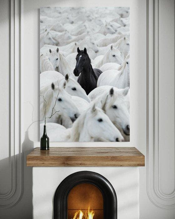 Rudy barret - Black Among White - XL, Antiek en Kunst, Kunst | Designobjecten