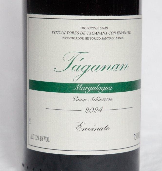 2024 Envinate, Taganan Parcela Margalagua - Tenerife,, Verzamelen, Wijnen