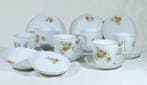 Richard Ginori - Theekopjesset voor 6 personen (17) -