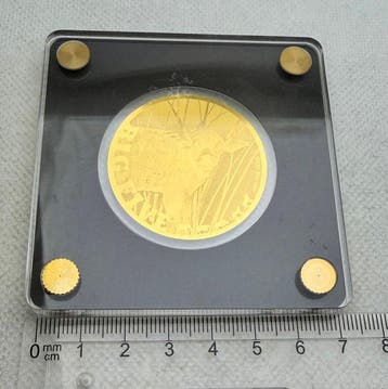 Tsjaad. 5000 Francs Buffalo Baby, oro 1/200 Oz .999 (Zonder