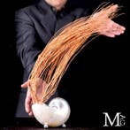 Nautilus in parelmoer met rode gorgonie – Reliek uit het