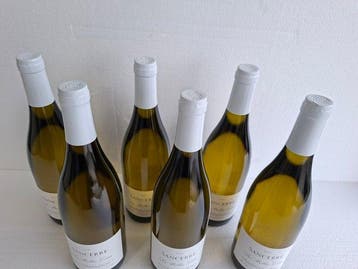 2021 Domaine Roger en Didier Raimbault Les Belle Cotes -, Nieuw