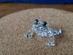 Swarovski - Figurine - Baby Frog - 286313 - Box - Cristal