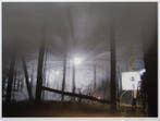 Gregory Crewdson - Production Still (Man in Woods #1)
