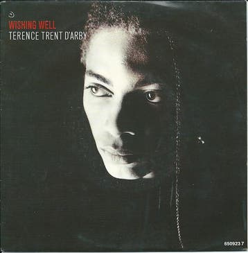 Terence Trent DArby - Wishing Well, Verzenden, Gebruikt