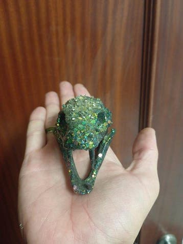 Python Crâne - Python regius - 6 cm - 5 cm - 8 cm - (1)