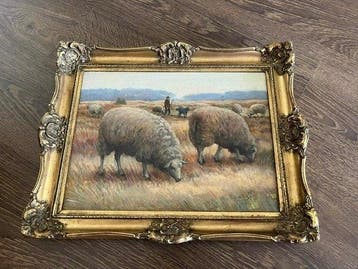 Hollandse School (XX) - Schaapjes op heide met herder