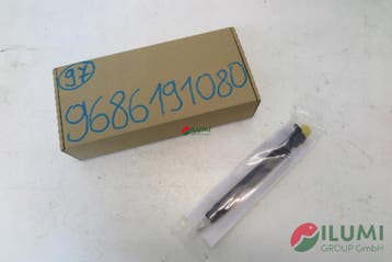 Injectie Peugeot Citroën Ford 2.0 HDI 9686191080, Autos : Pièces & Accessoires, Verzenden