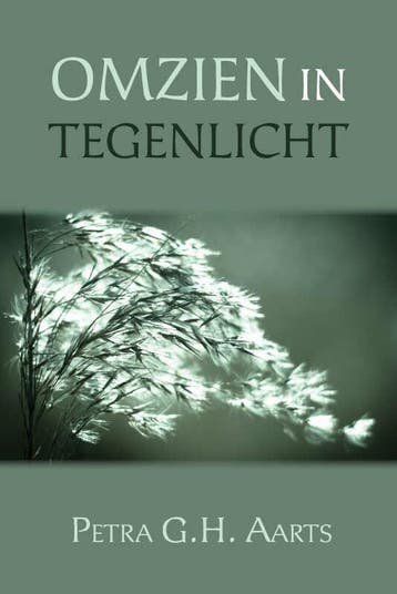 Omzien in tegenlicht 9789402232417 Petra G.H. Aarts, Boeken, Verzenden, Gelezen, Petra G.H. Aarts