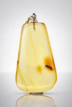 Lichtgevend gouden Baltisch amber-hanger – Gepreserveerde