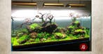 Jiang Jing stone 10-20cm - aquarium decoratie stenen, Dieren en Toebehoren, Verzenden, Nieuw, Plant(en), Steen of Hout
