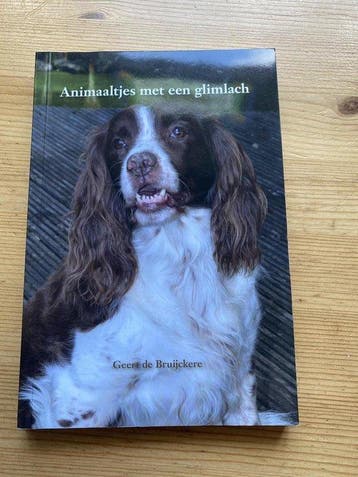 Animaaltjes met een glimlach 9789491528255, Verzenden, Zo goed als nieuw, Geert de Bruijckere