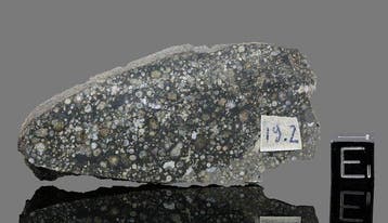Allende meteoriet Plak - 19.2 g - (1)