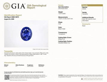 1 pcs Violet, Blauw Tanzaniet - 12.24 ct - Gemological