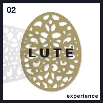 Experience / Lute Bookazine / 2 9789490252007 Marieke Lute, Verzenden, Gelezen, Marieke Lute