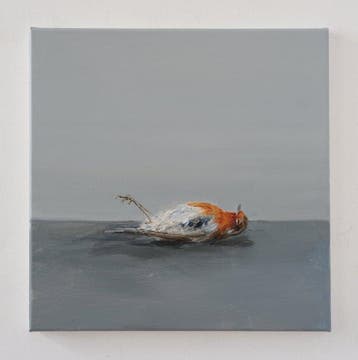 Matthieu van Riel - Dead Robin