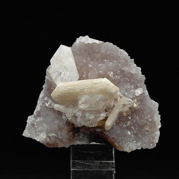 Stilbite-rosetten en apofylliet op roze amethist, India