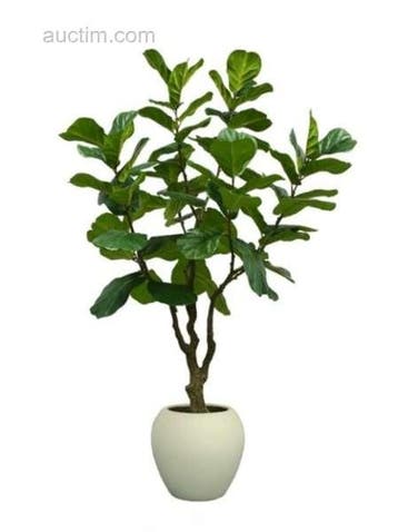 2x Kunstplant, Ophalen, Nieuw
