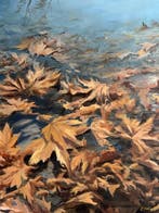 Emre Kinali - Orange leaves