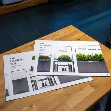 ADA Nature Aquarium kalender 2026, Verzenden, Nieuw