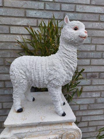 Beeld, Alpacca white - 41 cm - polyresin
