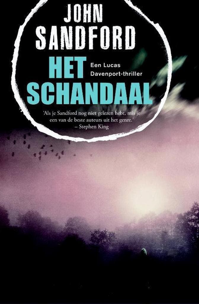 Het schandaal / Lucas Davenport / 31 9789400504233, Boeken, Thrillers, Gelezen, Verzenden