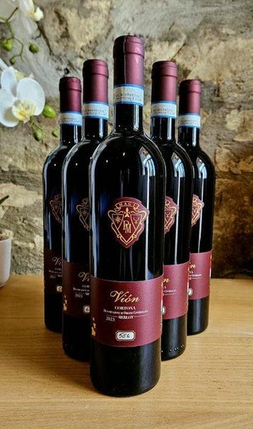 2023 Paolo magi, Vion - Toscane DOC - Fles (0,75 liter)