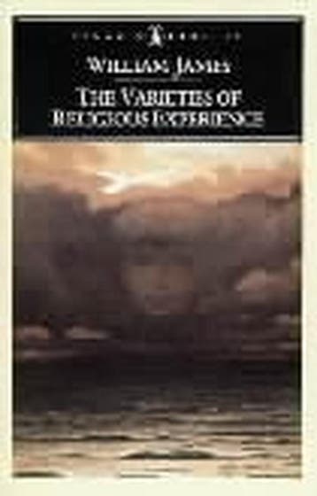 PC Varieties Of Religious Experience 9780140390346, Verzenden, Gelezen, William James