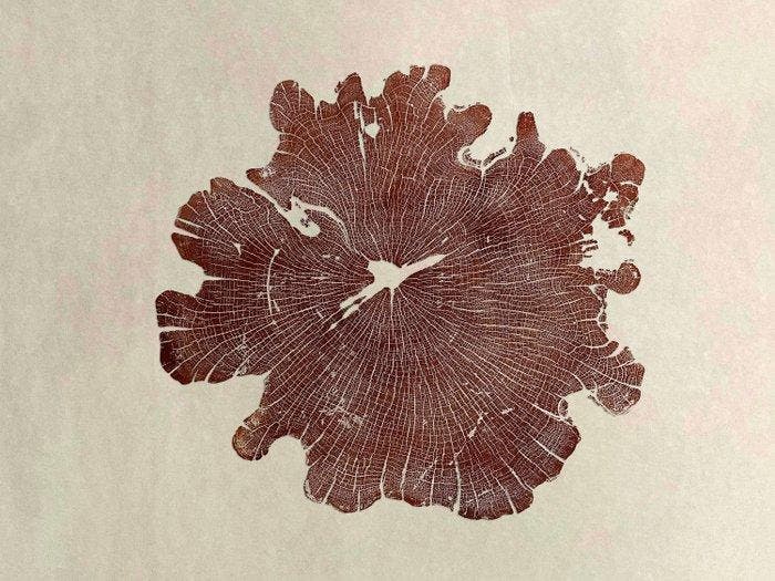 Natali Wood - Almendro Tierra, Antiquités & Art, Art | Objets design