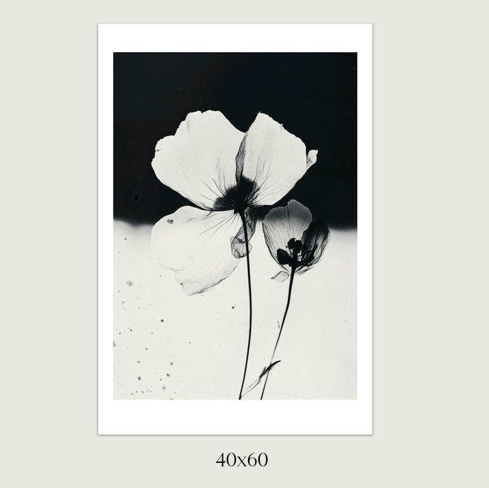 Jorge Omeñaca (1981) - Flowerink, Antiquités & Art, Antiquités | Autres Antiquités