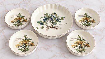 Villeroy & Boch - 4 Plats moules Tartelettes 1 Grand Tarte -